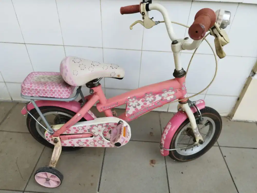 Sepeda Anak Warna Pink