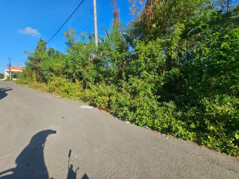 JUAL TANAH KOMERSIL JLN GUNUNG CATUR GATSU BARAT DENPASAR BARAT