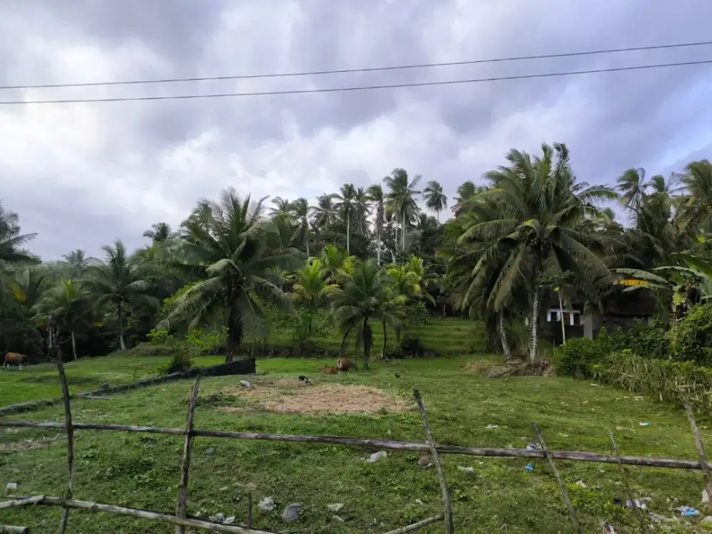 Tanah Tabanan jalan utama gilimanuk - denpasar