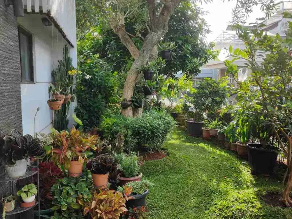 Dijual Bawah Harga Pasar Rumah Hook Bangunan Mandiri Alam Sutera Tangerang Selatan