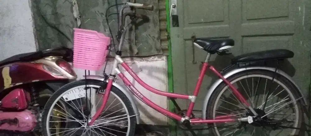Sepedah keranjang.Dijual murah.
