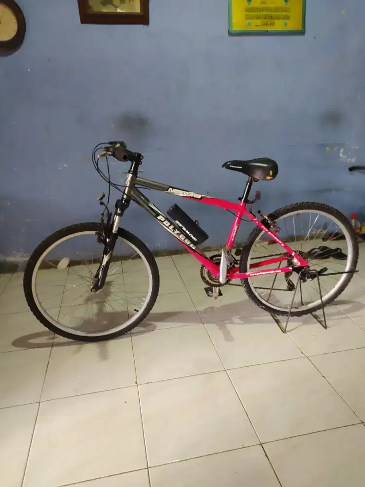mtb polygon aloy