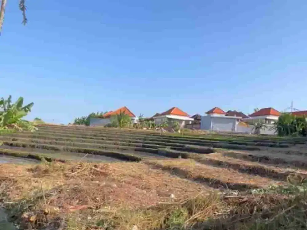 SALE!! TANAH PREMIUM VIEW SAWAH 450m² Jl.UTAMA SUBAK DAKSINA CANGGU