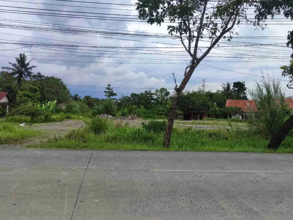 Tanah di sewakan di Slarang Cilacap