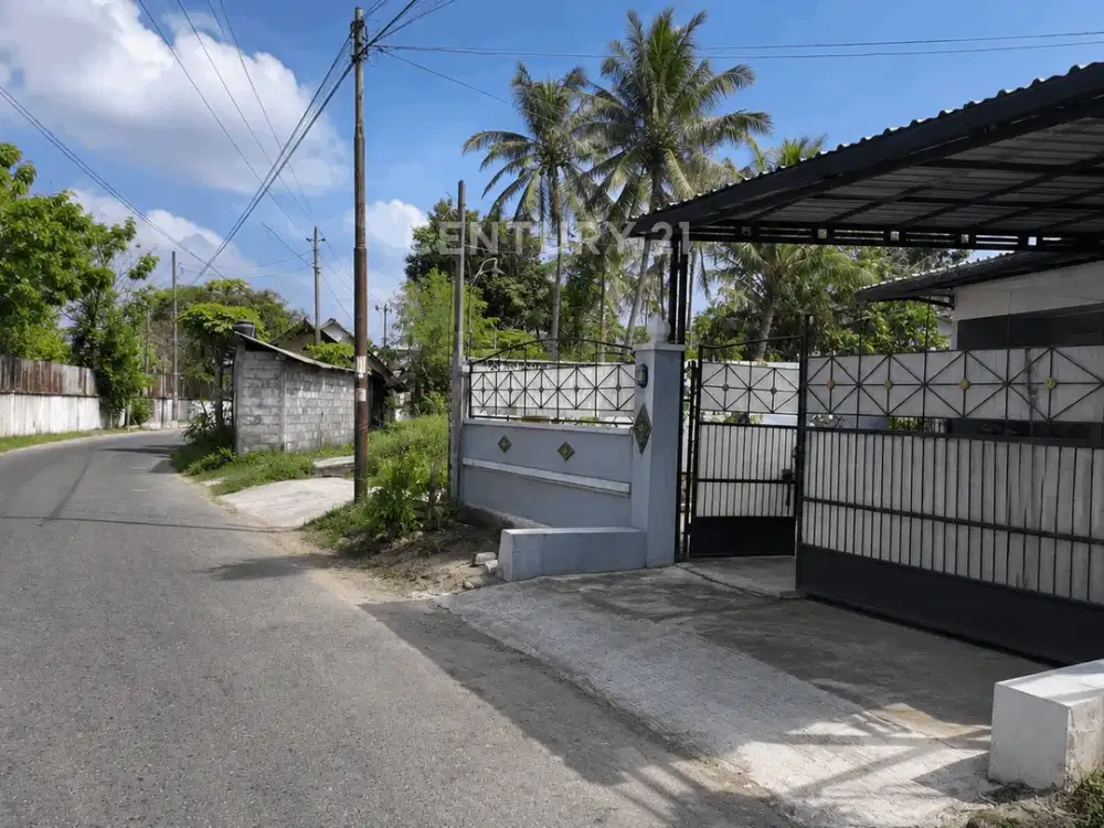 Rumah Pinggir Jalan Triharjo Sleman Cocok Untuk Hunian