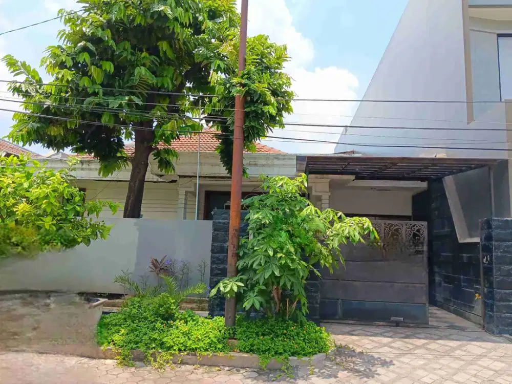 0826,51 Jual Lelang Rumah Surabaya Mulyorejo Di Kertajaya Indah