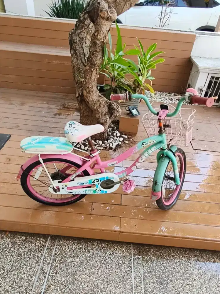 sepeda anak , sepeda anak perempuan