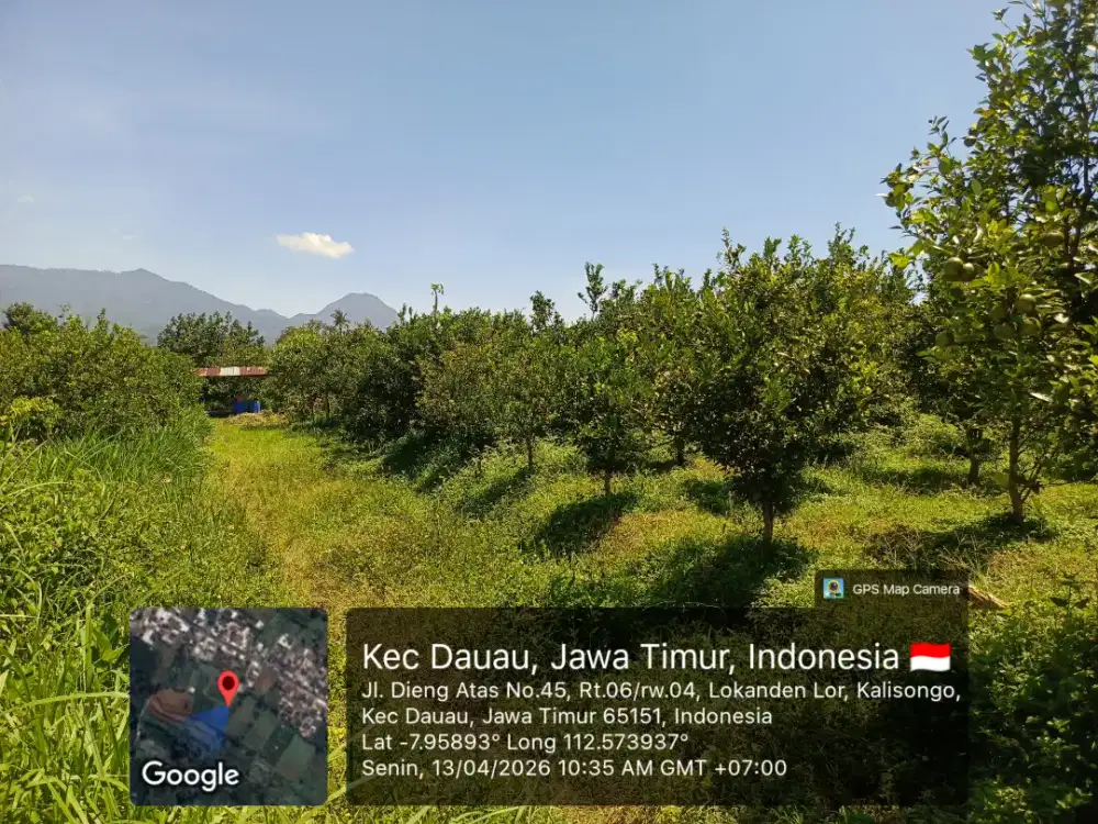 Di jual tanah ada pohon jeruknya di daerah kalisongo  Dau malang