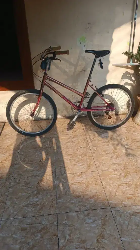 DIJUAL POLYGON LADY COMMUTER BIKE 24 INCH