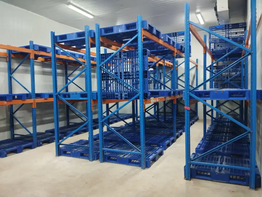 DI SEWAKAN GUDANG FROZEN DAN DRY STORAGE
