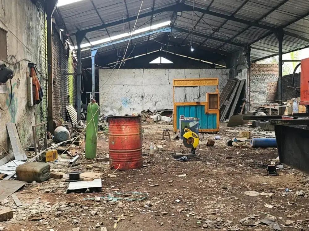 ngingas selatan