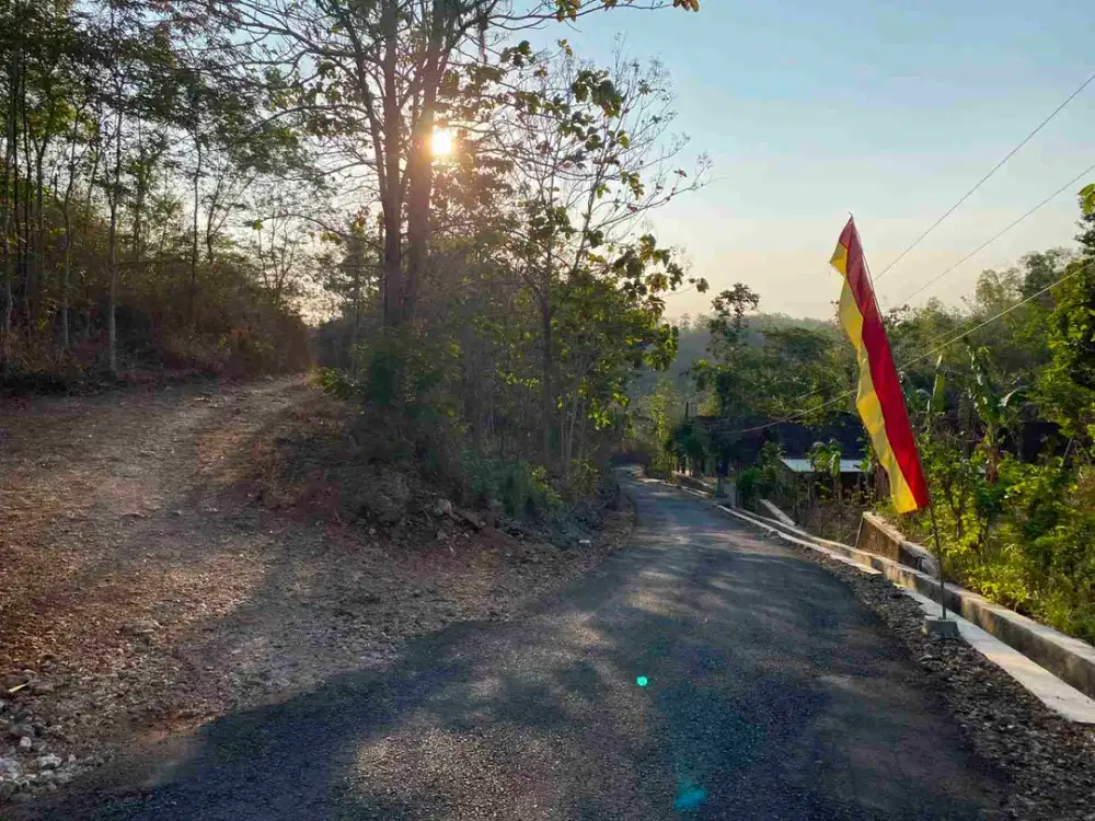Tanahmurah wonosari gunung kidul Hrg 15 jt luas 500m²