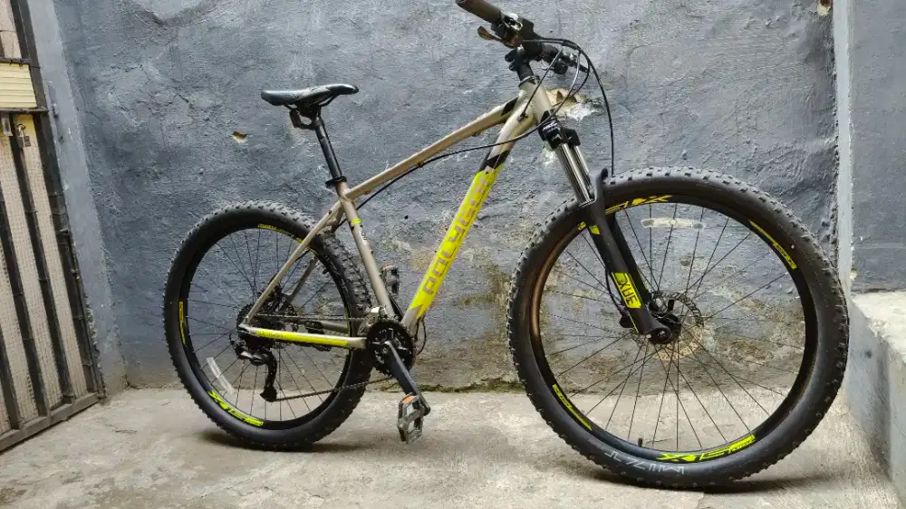 Sepeda Polygon primer 5 2020