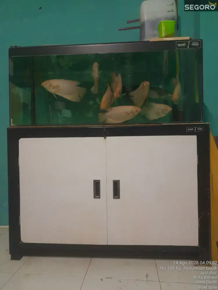 Dijual Aquarium Fullset