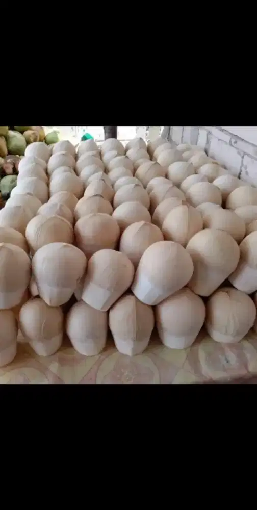 Kelapa muda batok