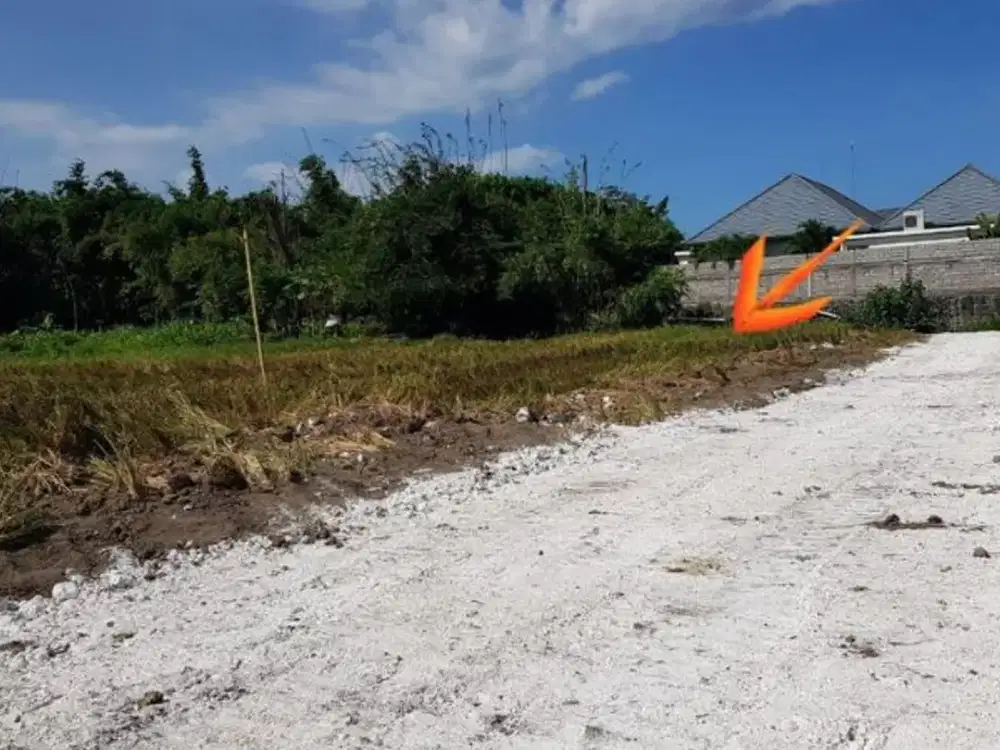 TANAH SUBAK TELAGA KETEWEL GIANYAR