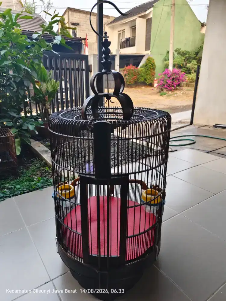 Sangkar Burung Anis