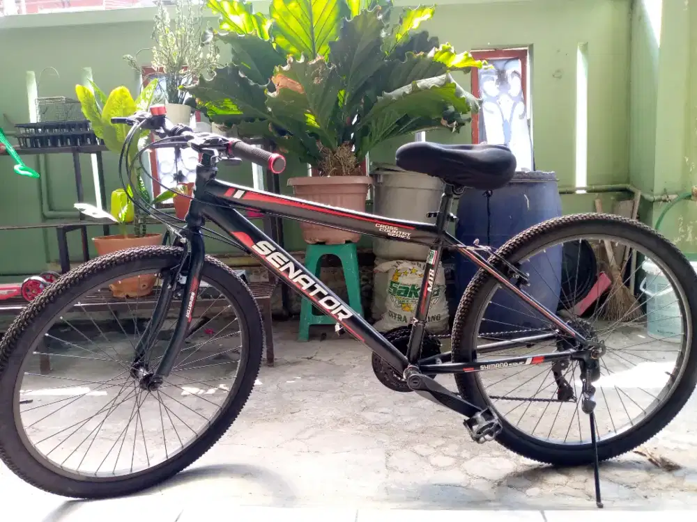 Jual sepeda bekas senator