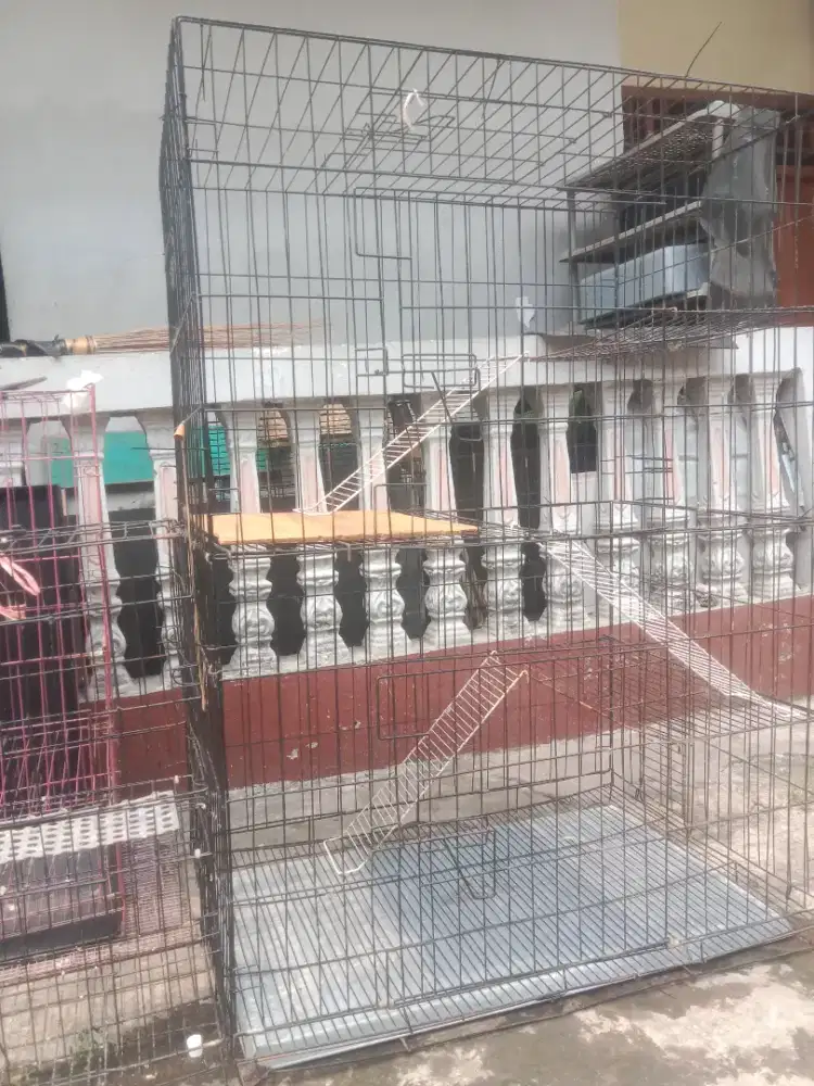 Kandang kucing tingkat jumbo