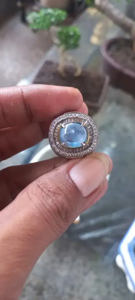 Sapir Star Ceylon Srilanka