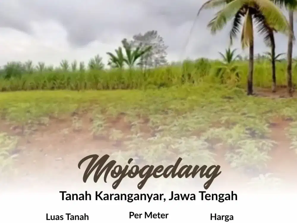 Tanah Mojogedang, Karanganyar, Jawa Tengah
