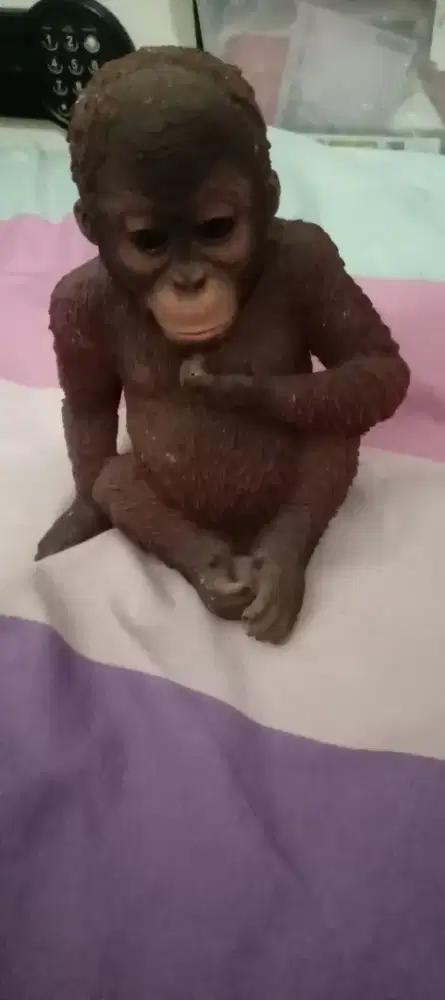Patung monyet baramg krisbow