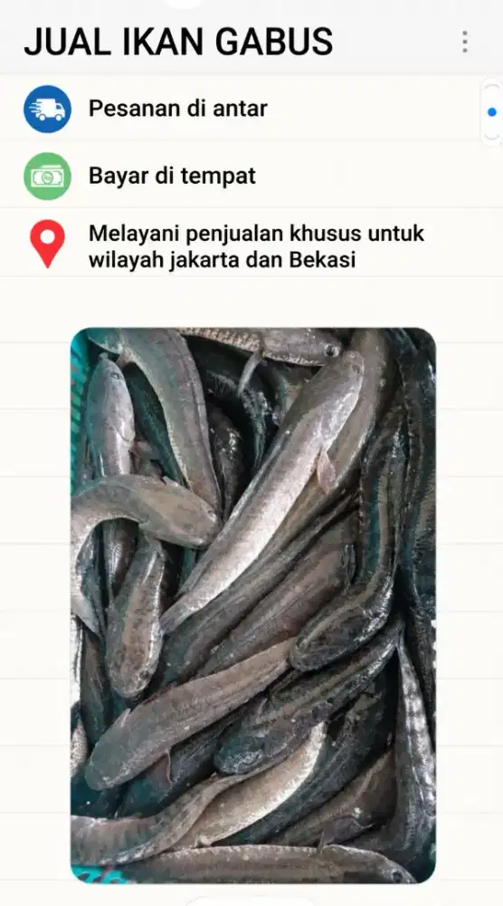 Buat konsumsi ikan gabus paska melahirkan
