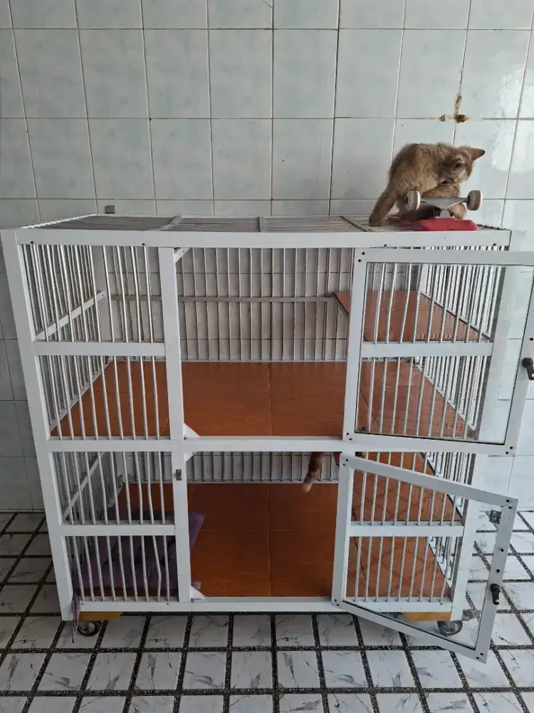 Kandang Kucing Alumunium Tingkat
