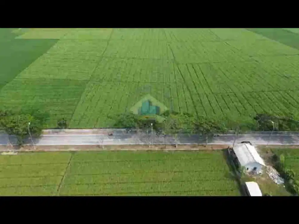 Dijual Tanah di jl raya Tonjong - Terate
Banten Lama - Kramatwatu, Serang