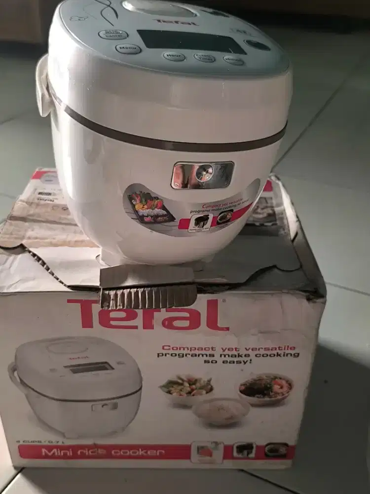 Mini rice cooker