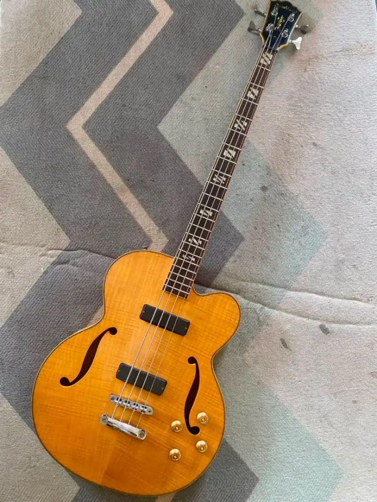Bass Washburn Semi HollowBody