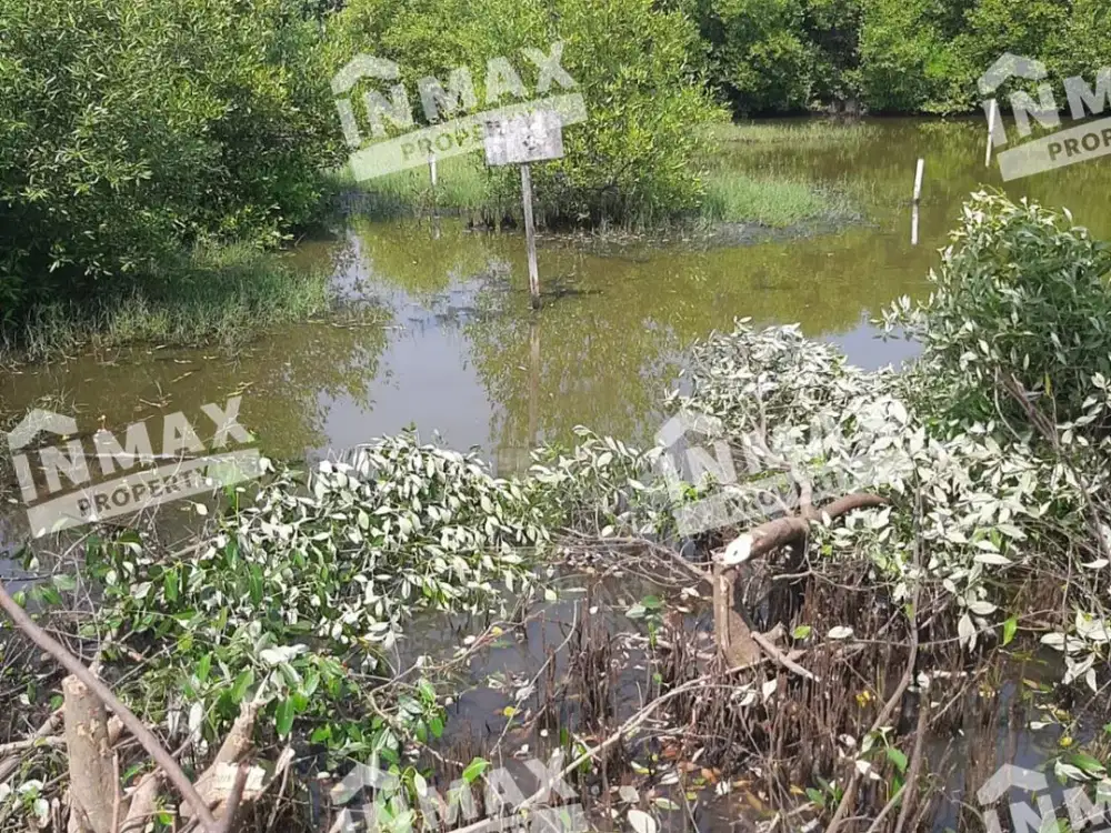 Tanah Persawahan Luas 160 Bisa Untuk Investasi di Daerah Rungkut Surabaya