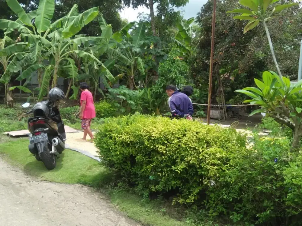 Tanah Strategis Dekat Jalan Parangtritis – Harga Terjangkau Siap Bangun