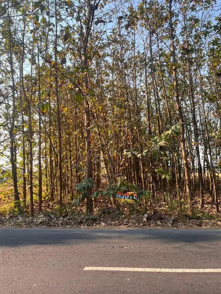 Jual Tanah strategis