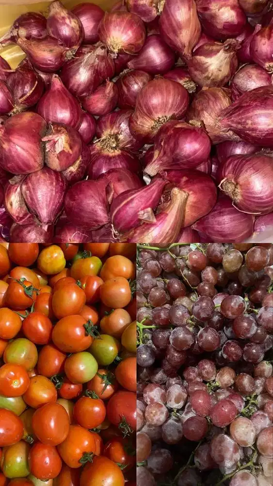 menyediakan buah dan sayuran harga murah
