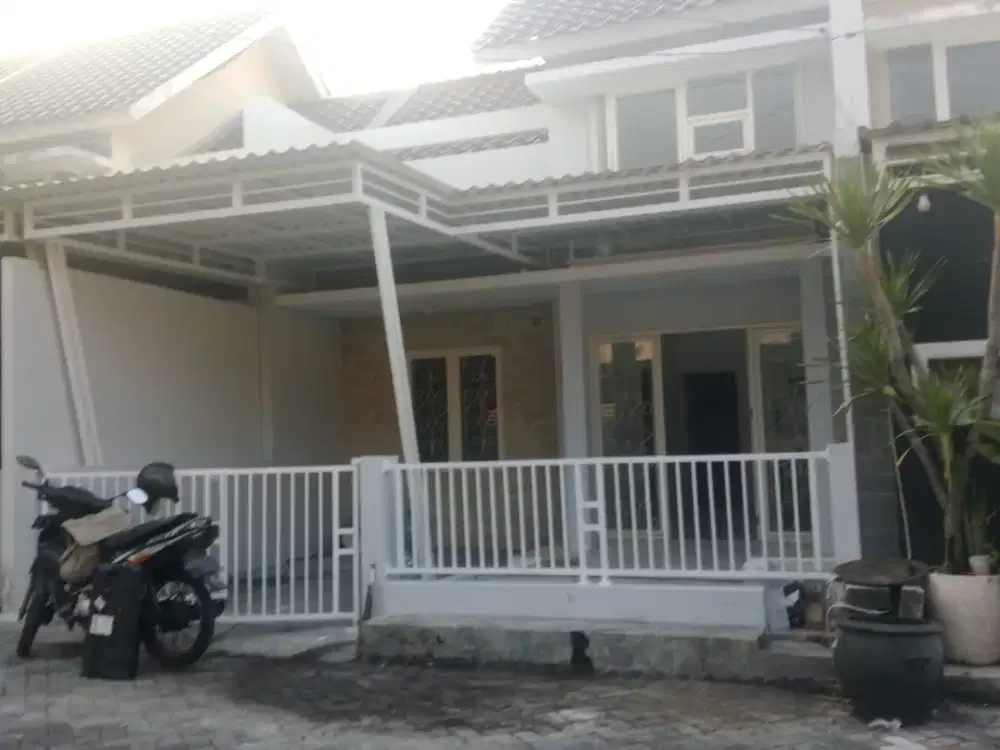 Semanggi mangrove siap huni