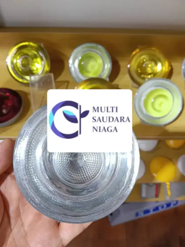 Paku Marka Kaca T