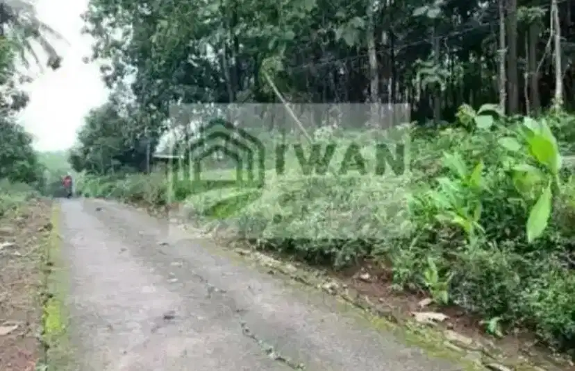 Tanah Pekarangan Strategis Dekat Jalan Utama Poros Desa
