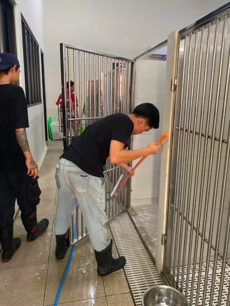 LOWONGAN KERJA SEBAGAI KENNEL BOY