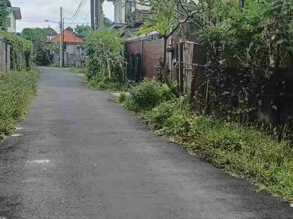 Tanah jalan Drupadi Renon bali