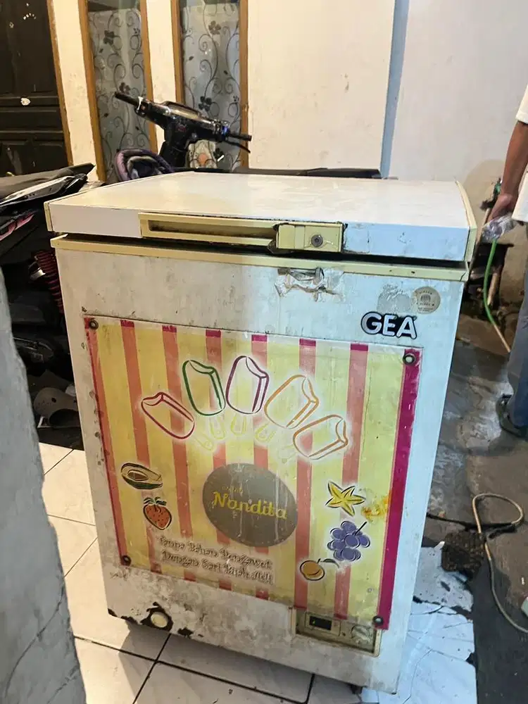 FREEZER GEA 100Ltr