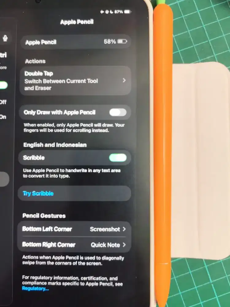 Ipad mini 6 komplit dus plus pen stylus