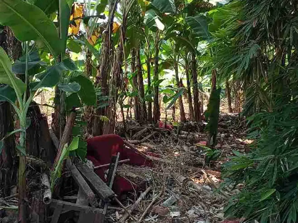 dijual tanah kemang dalam Jakarta Selatan