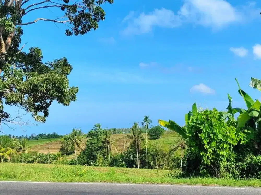 TANAH RAYA DENPASAR GILIMANUK SELEMADEG TABANAN
