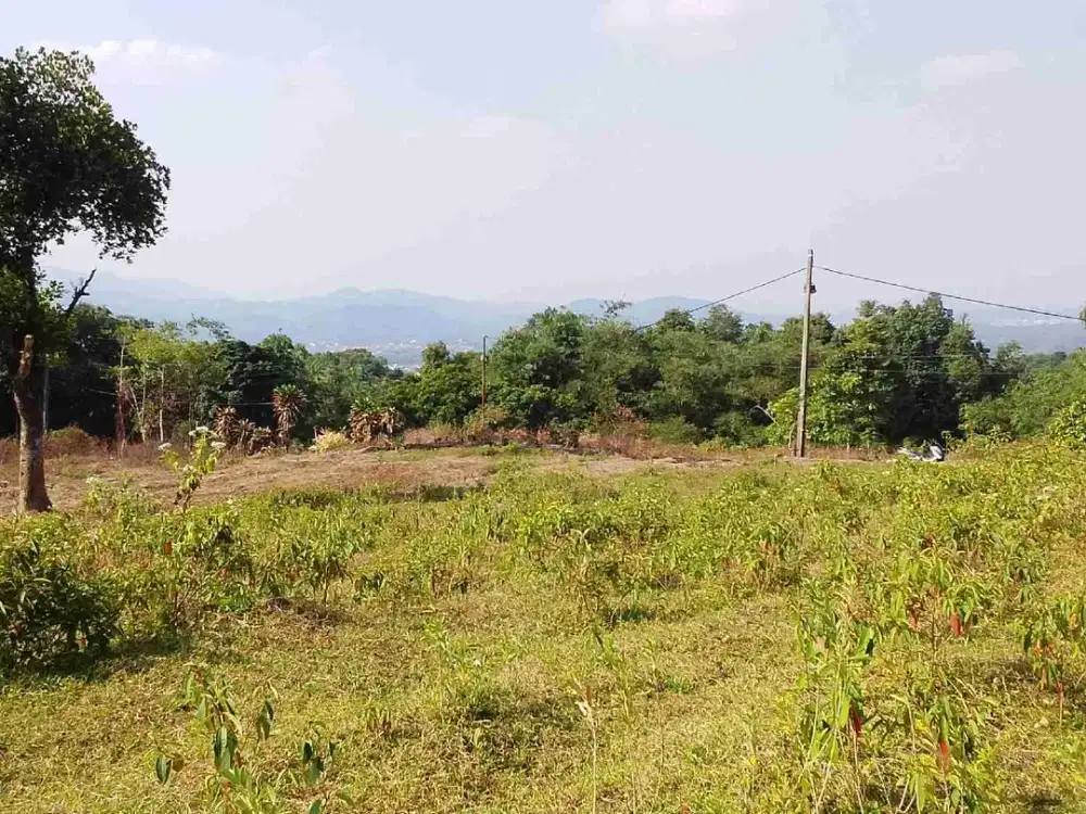 DIJUAL TANAH SHM,LUAS 4616m² LAHAN DATAR