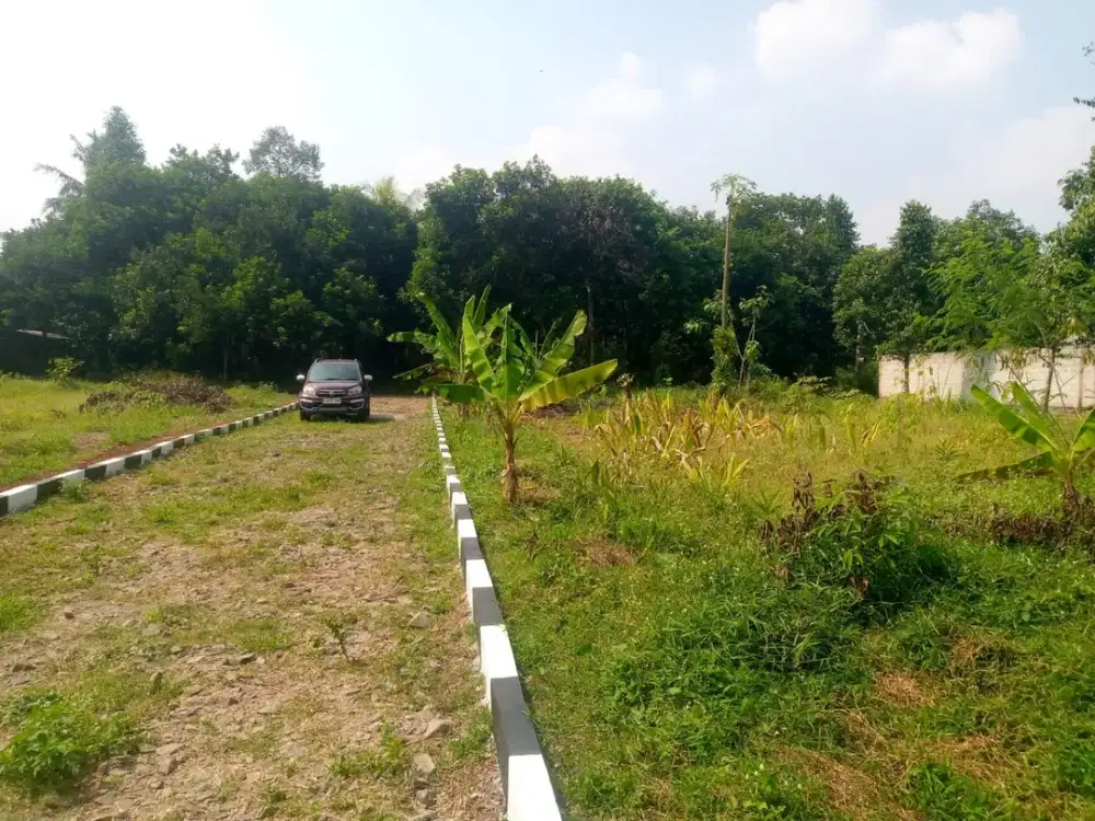 Tanah Kavling Murah Setu Bekasi, Strategis Dekat Tol Burangkeng