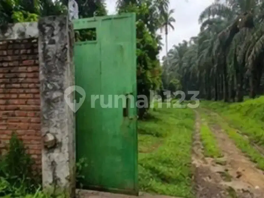 Dijual Tanah Peternakan Bonus dengan Kandang Ayam