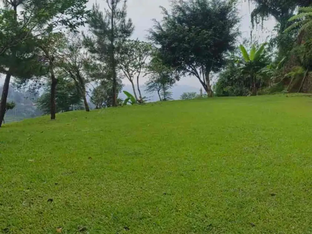 Dijual tanah murah bogor