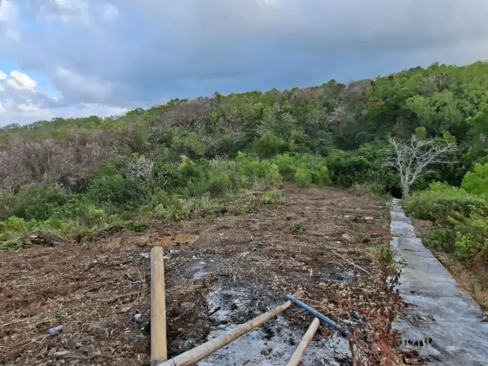 Dijual Tanah Super Premium 4.978 m² dengan Ocean View Pantai di Bali Cliff Ungasan, Zona Pariwisata, Cocok untuk Pengembangan Villa, Resort, Hotel,