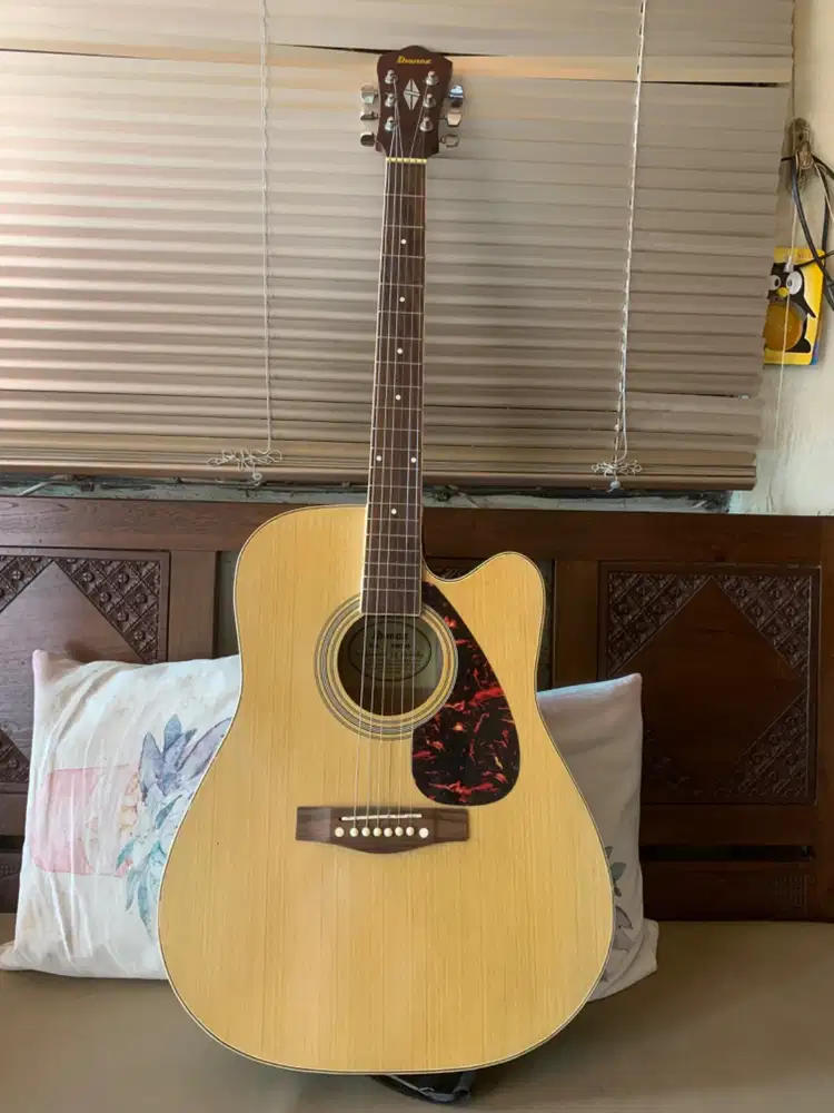 Gitar Akustik Ibanez Custom FG-3050 (Jarang Pakai/Suara Nyaring)